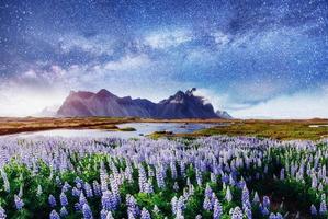 die malerischen landschaften der wälder und berge island. foto