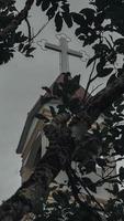 Krähe auf dem Baum foto