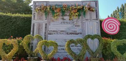 parks kleine bäume schmücken den valentinstag foto