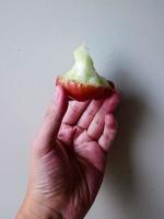 Hand, die die essbare Rosenapfelfrucht hält foto