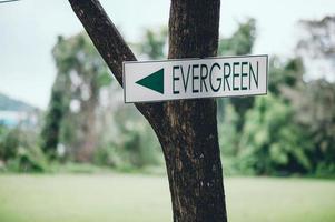 Grünes Schild an einem grünen Baum, um den Weg zu weisen. und das entsprechende Handlungsfeld. foto