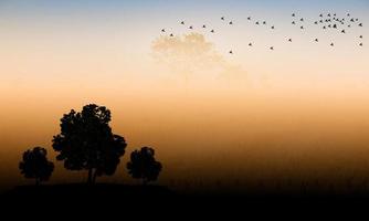schwarze Silhouetten, Bäume und Vögel mit Sonnenuntergang. foto