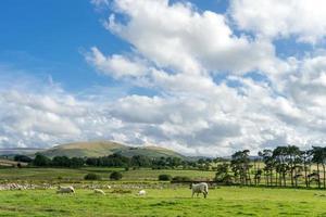Landschaft des Lake District foto