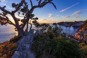 sonnenaufgang am te pare point in hahei in neuseeland foto