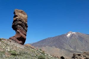 der teide und der baum foto