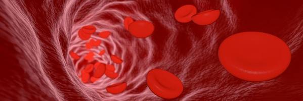 rote Blutkörperchen bewegen sich in Blutgefäßen. 3D-Rendering. Verwenden Sie für Hintergrund und Tapete foto