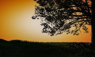 Silhouette eines großen Baumes auf dem Rasen. Hintergrund in leuchtenden orange-weißen Tönen, die die Abendsonne darstellen. 3D-Rendering foto