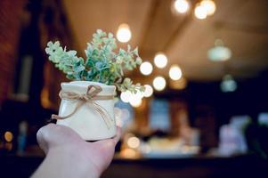 hände und töpfe mit hellgrünen blumen und bokeh hintergrund verschwommen. und es gibt einen Kopienraum. foto