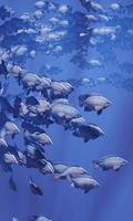 Fischschwärme schwimmen in Gruppen, der Unterwasserkreis scheint herunter. Viele Tilapia schwimmen in Gruppen oder in Gruppen. Natürlich werden unter Wasser Fischherden als Nahrung gefüttert. 3D-Rendering.