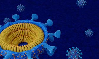 in zwei Hälften schneiden und innerhalb des Virus. Krankheitserreger respiratorische Influenza-Covid-Viruszellen. Neuer offizieller Name für die Coronavirus-Krankheit namens Covid-19. 3D-Rendering. foto