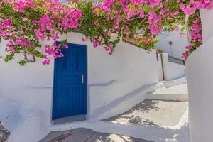 stadt oia auf der insel santorini, griechenland. traditionelle berühmte weiße blaue häuser mit blumen bei sonnigem wetter über der caldera, ägäis. schöne sommerlandschaft, meerblick, luxusreiseurlaub foto