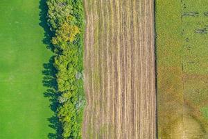 Hintergrund von Feldern mit verschiedenen Arten der Landwirtschaft mit Baumgrenze. Luftbild von oben, Lebensmittelindustrie, Landwirtschaft, Ackerland foto