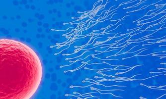 das Spermium ist auf die Eizelle gerichtet. menschliche Paarung zu machen. ein Vorbefruchtungsmodell zwischen einer Eizelle und einem Spermium. 3D-Rendering foto