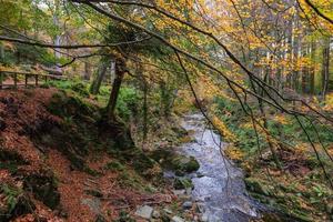 Tollymore Forest Park Nordirland Vereinigtes Königreich foto