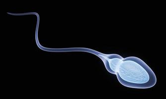 die Spermienfruchtbarkeit aus Männersperma. Spermienillustration, medizinisch genaue 3D-Darstellung. blaue Spermien isoliert auf schwarz. foto