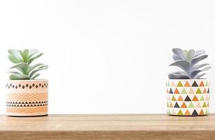 Stilvolle Mini-Pflanze auf dem Arbeitsplatz für Heim- oder Bürodekoration mit Kopierraum foto