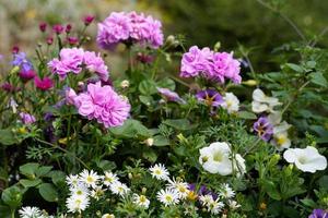 Blick auf eine Blumenschau im Steinbruchpark, Shrewsbury, Shropshire, England foto