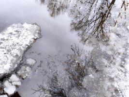 Reflexion von Bäumen und Sträuchern im Wasser, mit Eisstücken auf der Oberfläche. foto