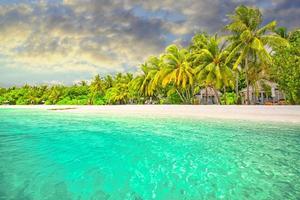 schönes tropisches Strandbanner. weißer Sand und Kokospalmen, Reisetourismus breites Panorama-Hintergrundkonzept. tolle Strandlandschaft. Luxusinsel Natur, Abenteuerurlaub oder Urlaub, foto