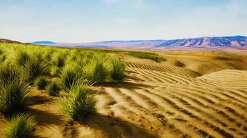 Schöne gelb-orangefarbene Sanddüne in der Wüste in Mittelasien foto