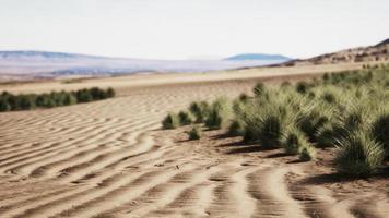 Steinwüste im australischen Outback foto