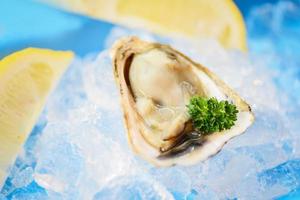 Öffnen Sie die Austernschale mit Kräutergewürzen Zitronenpetersilie - frische Austern mit Meeresfrüchten auf Eishintergrund foto