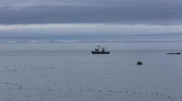 Trawler-Fischerboot, das in offenen Gewässern segelt foto