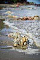 Verschmutzungen und Müll am Strand von Menschen foto