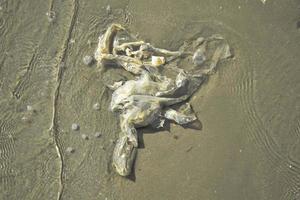 Verschmutzungen und Müll am Strand von Menschen foto