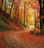 schöne Herbstgasse foto