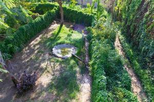 Landschaftsszene aus dem Wald foto