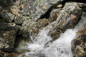 fließender flusssee hemsila in hemsedal, viken, buskerud, norwegen. foto