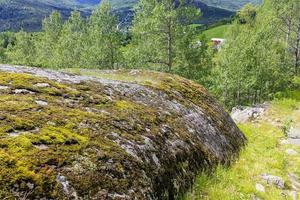 norwegische Landschaft. große Felsen, Berge und Wald. norwegen natur hemsedal. foto