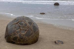 moeraki-felsbrocken am koekohe beach an der wellenförmigen küste von otago in neuseeland foto