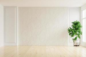 weiße Gipswand leerer Raum mit Pflanzen auf dem Boden.