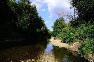 schöner Bach im Sommer foto