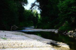 Bach und Naturlandschaft foto