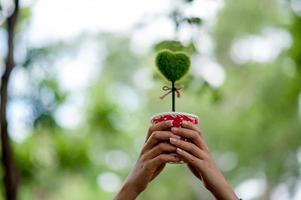 schöne grüne hand- und herzbilder valentinstagkonzept mit kopienraum foto