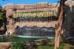 Wasserfall im Park foto