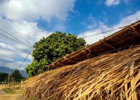 Elektrokabel sind grob auf das Bambus- und Reetdach des temporären Gebäudes gespannt foto