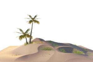 Kokospalme auf kleiner Insel, niedriges Polygon 3D-Bild der Insel auf weißem Hintergrund mit Beschneidungspfad foto