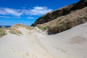 Sanddüne in der Sandfly Bay in Neuseeland foto