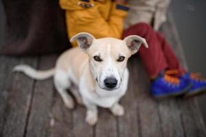 Nahaufnahme Porträt einer Familie auf einem Spaziergang mit ihrem Hund foto