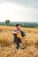 Ein junger Vater hält seinen drei Monate alten Sohn in den Armen. in einem Weizenfeld gefilmt. foto