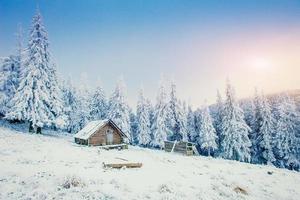 Winterlandschaft mit schneebedeckten Bäumen im Raureif und c foto