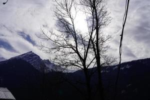 schöne landschaft mit baum und bergen foto