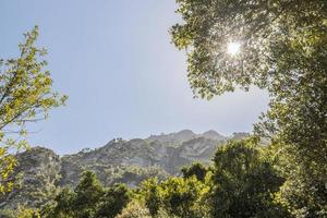 Sonnenschein über den Bergen im Tafelberg-Nationalpark. foto