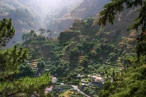 Blick auf Madeira-Terrassen foto