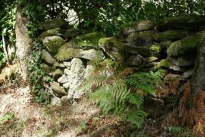 Ansichten und Details der Landschaft von Lugo foto