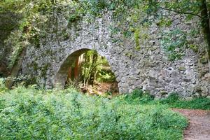 Bilder des verzauberten Holzes in Cangas, Pontevedra foto